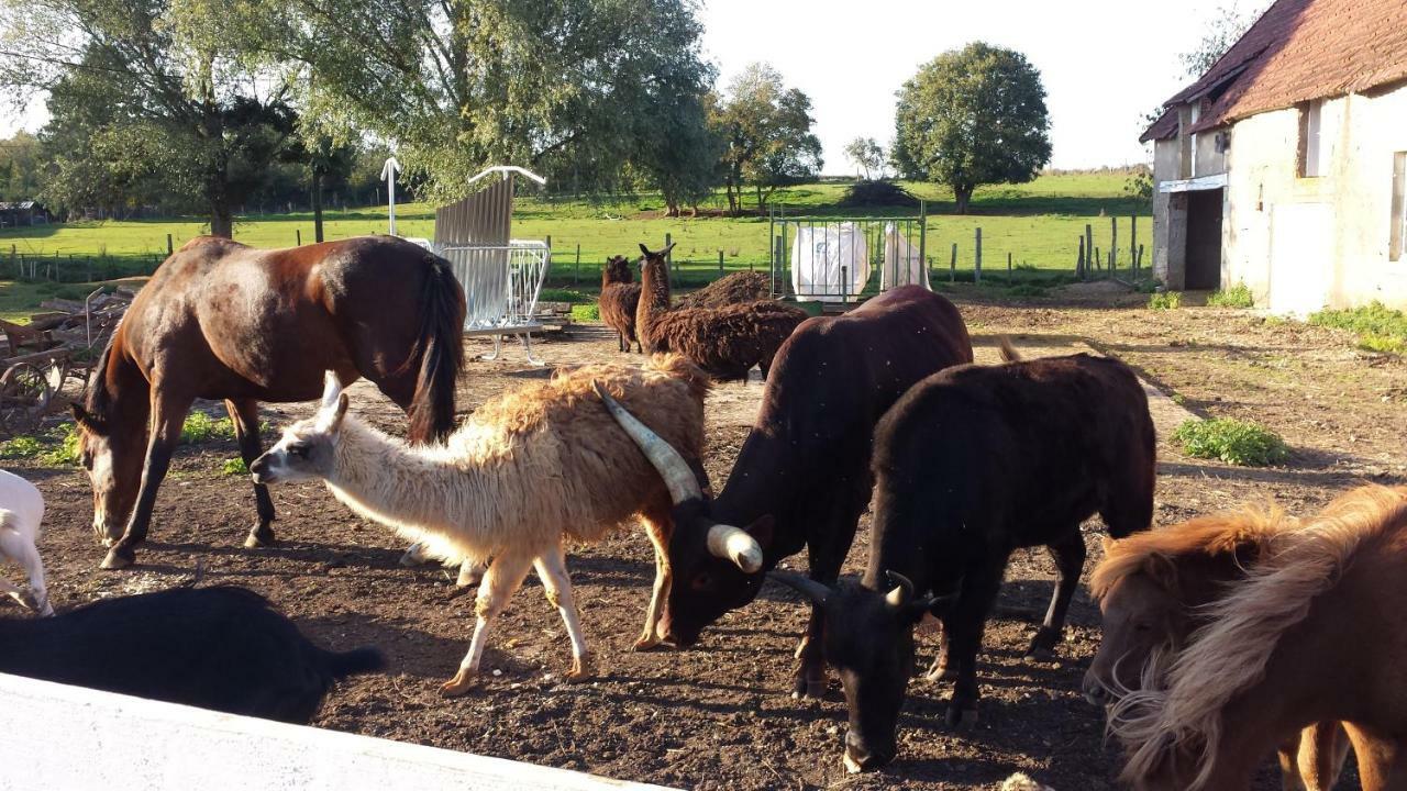La Ferme Aux Kangourous Donzy Экстерьер фото