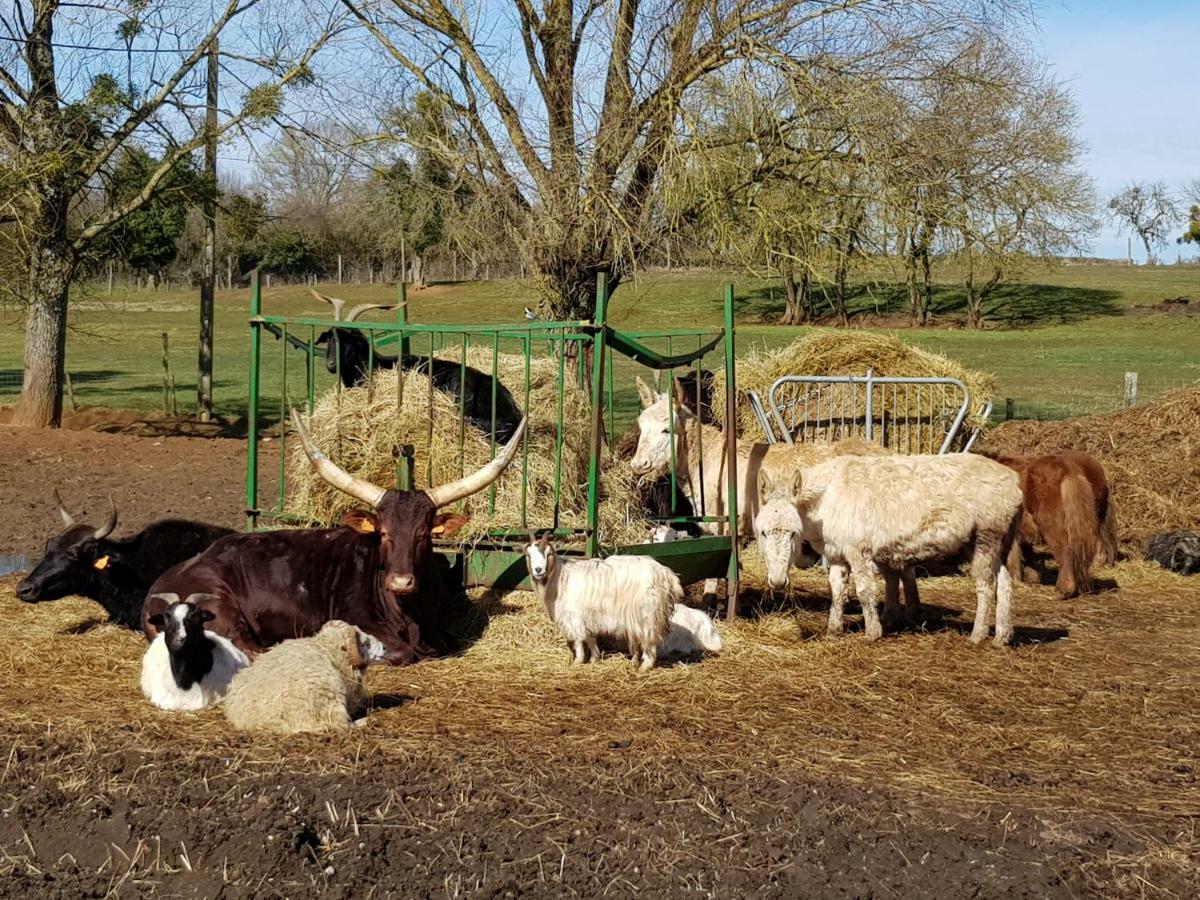 La Ferme Aux Kangourous Donzy Экстерьер фото